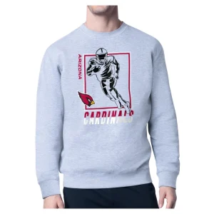 Arizona cardinals starter player grid pullover sweatshirt Heather gray