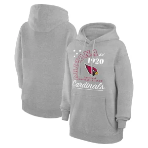 Arizona cardinals starter unisex arch team fleece pullover hoodie Heather gray