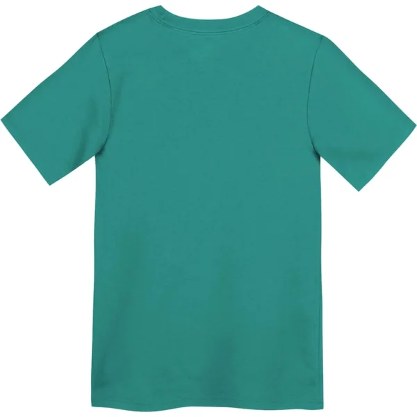 Miami dolphins nike preschool legend icon performance t shirt Aqua 7