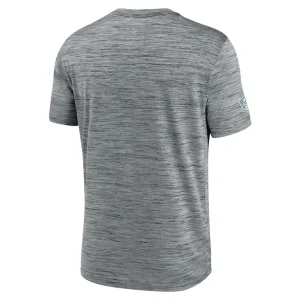 Philadelphia eagles nike 2024 sideline velocity performance t shirt Gray L