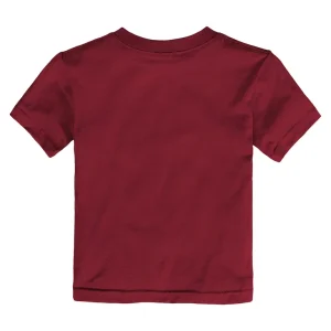 San francisco 49ers nike toddler legend icon performance t shirt Scarlet 4T