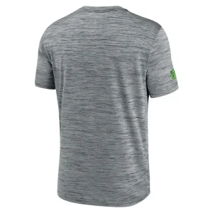 Seattle seahawks nike 2024 sideline velocity performance t shirt Gray L